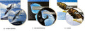 15 DVD DESIGN OF LIFE MINISTRY GIVEAWAY + 5 - JESUS FILM DVD