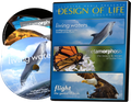 Design of Life Collection 3-DVD Set