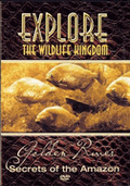 Explore Wildlife Kingdom: Golden River DVD