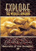 Explore Wildlife Kingdom: Golden River DVD