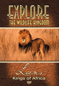 Explore Wildlife Kingdom: Lions: Kings of Africa DVD