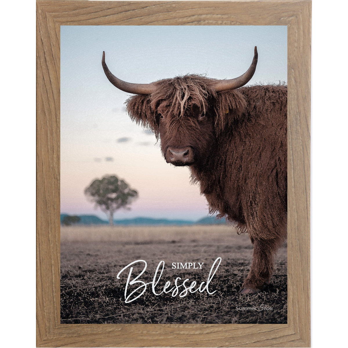 Simply Blessed Wall Art – Highland Cow Twilight Portrait Farmhouse Decor (SSW4)