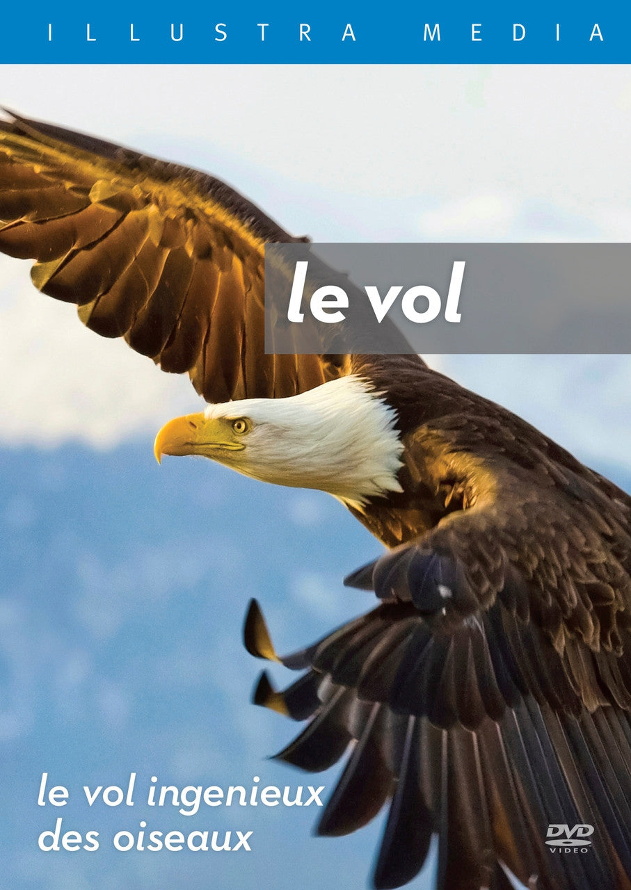 Flight: The Genius of Birds French DVD