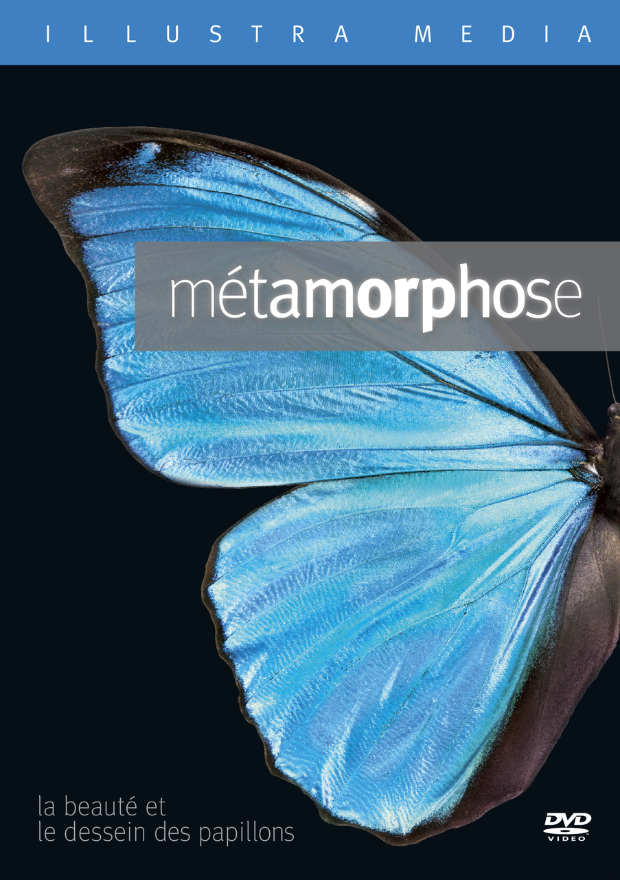 Metamorphosis: The Beauty and Design of Butterflies French DVD