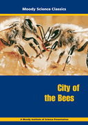 Moody Science Film: City of the Bees DVD