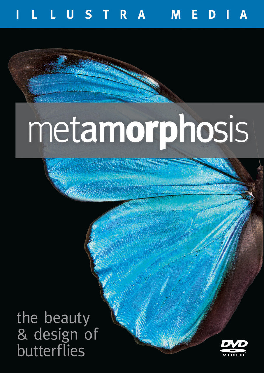 Metamorphosis: The Beauty and Design of Butterflies Blu-ray