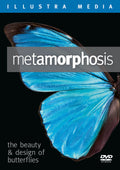 Metamorphosis: The Beauty and Design of Butterflies DVD