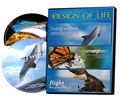 Design of Life Collection 3-DVD Set