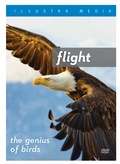 Flight: The Genius of Birds DVD