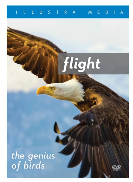 Flight: The Genius of Birds DVD