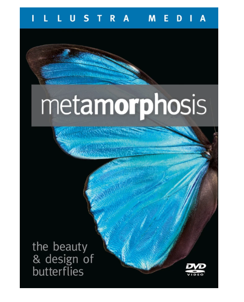 Metamorphosis: The Beauty and Design of Butterflies DVD